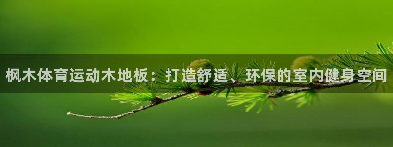 JJB竞技宝官网下载是干嘛的公司:枫木体育运动木地板:打造舒
