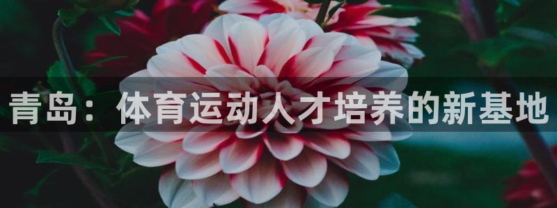 JJB竞技宝官网下载平台注册要钱吗安全吗:青岛:体育运动人才